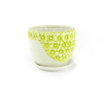 K-Cliffs lime-yellow floral ceramic planter shown empty with matching saucer, photographed against a white backdrop.