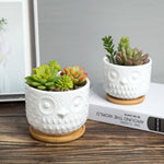 K‑Cliffs pair of white owl ceramic planters with bamboo saucers displayed on a wood surface and decorative book, each holding succulents.