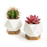 Two white faceted diamond ceramic succulent planters on hexagonal bamboo saucers with planted cactus and succulent