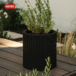 Graphite cylindrical rattan planter with herb-like plant on a wooden deck, Keter logo in corner