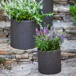Two graphite rattan-style planters with flowering plants arranged on stone steps in an outdoor setting