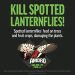 Promotional graphic reading "Kill Spotted Lanternflies!" with an illustration of a spotted lanternfly and Amdro logo