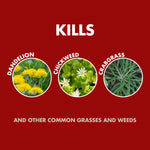 Red graphic panel showing photos of dandelion, chickweed and crabgrass in circles with the heading ‘KILLS’ and supporting text below.