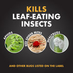 Graphic panel reading 'Kills leaf-eating insects' with circular photos of aphids, a red spider mite and a mealybug.