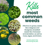 White and green panel listing weeds killed with six circular close-ups of common weeds like dandelions and moss.