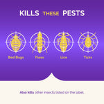 Purple infographic panel showing icons of bed bugs, fleas, lice and ticks with the heading 'Kills These Pests'.