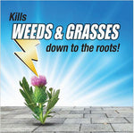 Promotional graphic showing a thistle breaking through pavers with text 'Kills WEEDS & GRASSES down to the roots!'
