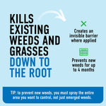 Informational panel stating “Kills existing weeds and grasses down to the root” with icons and prevention tip text