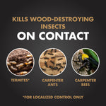 Graphic panel with headline 'KILLS WOOD-DESTROYING INSECTS ON CONTACT' and circular photos of termites, carpenter ants, and a carpenter bee