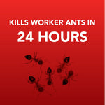 Red panel graphic stating “Kills worker ants in 24 hours” with small ant illustrations on a gradient background