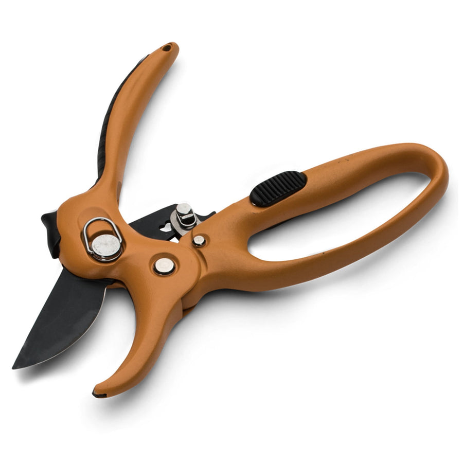 Close-up of orange ratchet anvil pruning shears with black blade and ergonomic loop handle on white background