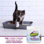 Kitten stepping from a litter box with an OdoBan Pet OdoMagnet jar and caption promoting it as an odor absorber.