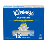 Kleenex Trusted Care 12-pack flat boxes retail carton showing tissue box graphic and 1,920 tissues claim