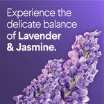 Graphic with lavender flower close-up and text describing the delicate balance of lavender and jasmine scent on a purple background.