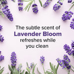 Lavender sprigs surrounding text reading the subtle scent of Lavender Bloom on a pale background