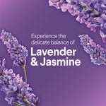 Purple-themed graphic with lavender sprigs and text reading “Experience the delicate balance of Lavender & Jasmine.”