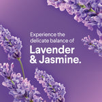 Purple background with lavender sprigs and text highlighting the fragrance: "Experience the delicate balance of Lavender & Jasmine."