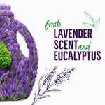 Illustrative graphic showing lavender and eucalyptus text reading fresh lavender scent and eucalyptus