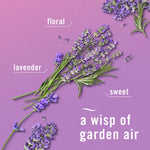 Lavender sprigs on a purple background with descriptive words 'floral', 'lavender', 'sweet' and the phrase 'a wisp of garden air'