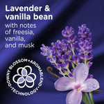 Graphic with lavender sprigs, vanilla bean and text describing lavender & vanilla bean scent notes on purple background