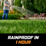 Close-up lawn foreground with blurred person watering in background and text panel reading “Rainproof in 1 hour.”