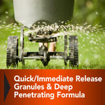Lawn spreader dispersing granules across grass with overlaid text about quick/immediate release and deep penetrating formula