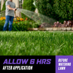 Close-up of a lawn with a blurred person watering in the background and text overlay instructing to allow six hours after application