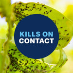 Close-up of a leaf covered in small insects with a dark blue circle overlay reading 'KILLS ON CONTACT'.