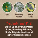 Three circular close-ups of leaf diseases labeled Rust, Powdery Mildew and Black Spot with descriptive text below