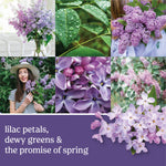 Collage of close-up lilac flower and dewy green leaf photos with text reading 'lilac petals, dewy greens & the promise of spring'.