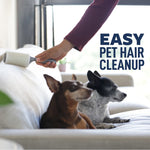 Person using a lint roller on a couch beside two small dogs with text Easy Pet Hair Cleanup