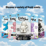 Array of Little Joe packaged vent air freshener variants displayed against a cloudy sky background with header 'Discover a variety of fresh scents'.