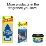 Promotional image showing other Little Trees New Car products together with header text More products in the fragrance you love
