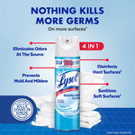 Product infographic showing a Lysol can and callouts for 'Eliminates Odors', 'Prevents Mold', 'Disinfects Hard Surfaces' and 'Sanitizes Soft Surfaces'