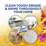 Infographic showing surfaces and cleaning results around a Lysol Brand New Day Bathroom Foamer logo and product imagery