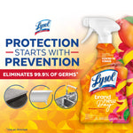 Marketing graphic with a Lysol Brand New Day Bathroom Foamer bottle and headline 'Protection Starts with Prevention' plus circular surface icons