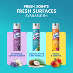 Product lineup graphic showing three Lysol Brand New Day scent variants including coconut water & sea minerals, with flavor icons