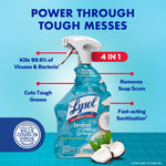Lysol spray bottle on blue background with callouts: kills 99.9% of viruses & bacteria, cuts grease, removes soap scum