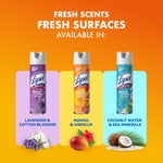 Promotional panel showing three Lysol Brand New Day scent cans including mango & hibiscus in center