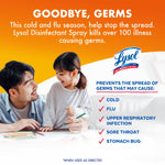 Lifestyle graphic of a parent and child with Lysol logo and text about preventing spread of germs