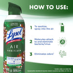 Lysol Air Sanitizer can left with 'How to Use' numbered instructions and simple icons on white and green background