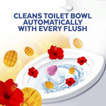 Illustration of Lysol toilet cleaner hanging in a bowl with mango slices and hibiscus flowers and product claim text