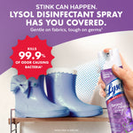 Hand spraying Lysol lavender disinfectant near a pair of small decorative boots with a red badge claiming 99.9% bacteria kill