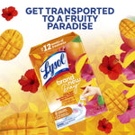 Promotional graphic of Lysol Brand New Day Mango & Hibiscus box surrounded by mango slices and hibiscus flowers.