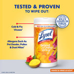 Single Lysol Brand New Day mango & hibiscus disinfecting wipes canister with callouts listing viruses and allergens it wipes out and mango image.