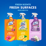 Three Lysol spray bottles in different scents shown on colored panels with fruit and flower illustrations beneath each bottle.