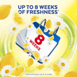 Promotional graphic with calendar-style pad showing '8 weeks' surrounded by lemon slices and daisies for Lysol freshness