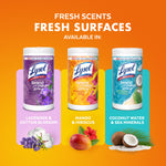 Three Lysol Brand New Day wipes scents displayed side-by-side with fruit and botanical accents on orange background
