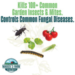 Illustration of garden pests, tomato and diseased leaf with text about killing common garden insects and controlling fungal diseases