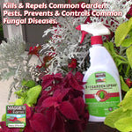 Maggie's Farm spray bottle photographed among decorative plants with overlaid text about killing and repelling common garden pests